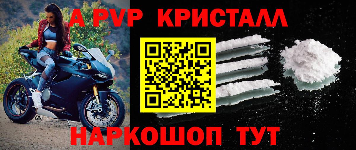 Alfa_PVP СК Мытищи