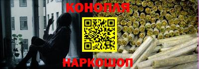 дмт Будённовск