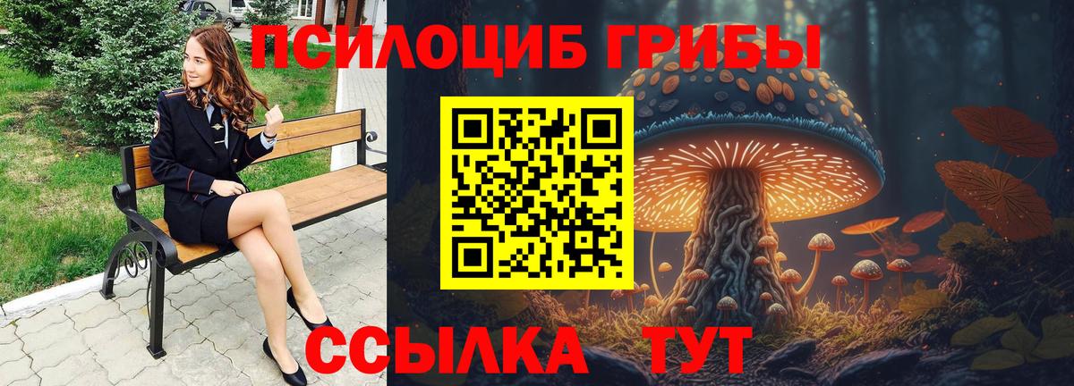 Мытищи  Галлюциногенные грибы MAGIC MUSHROOMS  Вход с VPN  Галлюциногенные грибы прущие грибы 